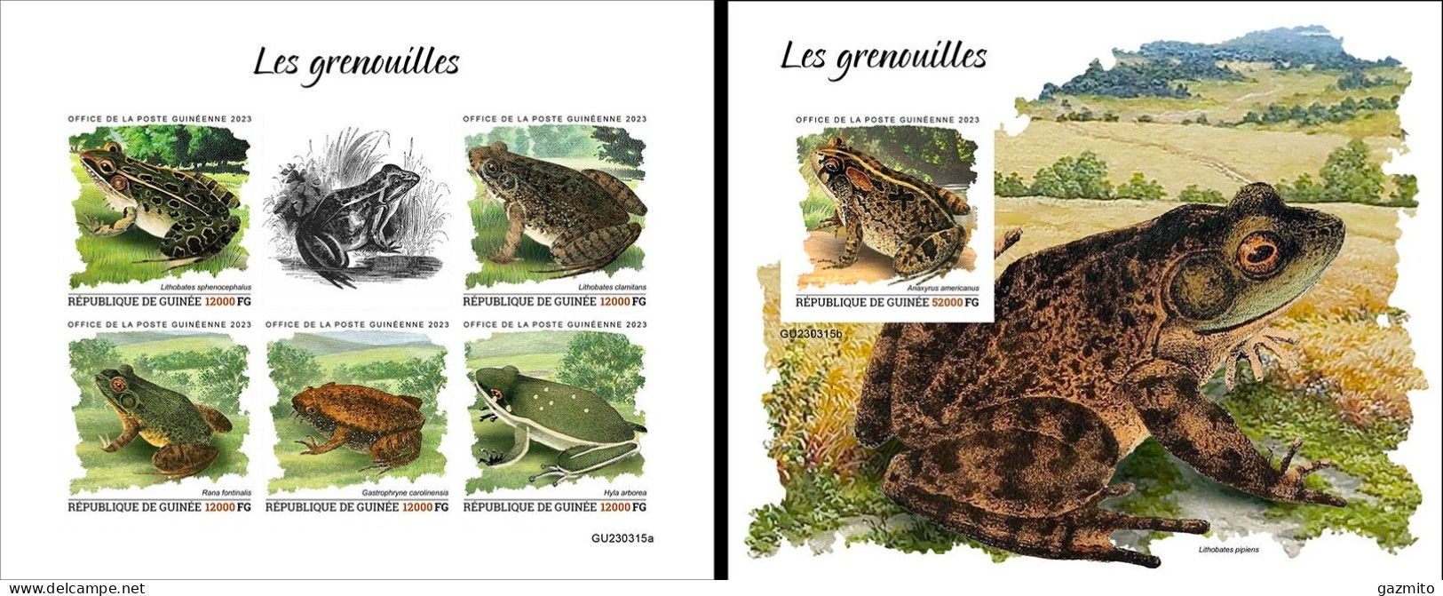 Guinea 2023, Animals, Frogs, 5val In BF +BF IMPERFORATED - Ranas