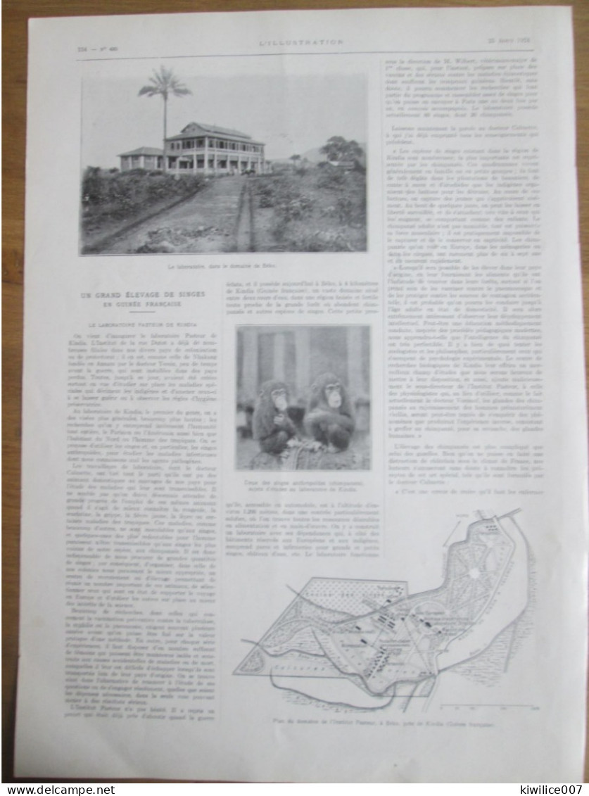 1924   Un Elevage De Singes EN GUINEE FRANCAISE Laboratoire Pasteur De KINDIA  Chimpanzés  Domaine Béko - Non Classés