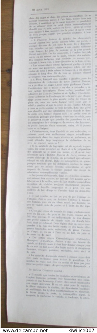 1924   Un Elevage De Singes EN GUINEE FRANCAISE Laboratoire Pasteur De KINDIA  Chimpanzés  Domaine Béko - Sin Clasificación