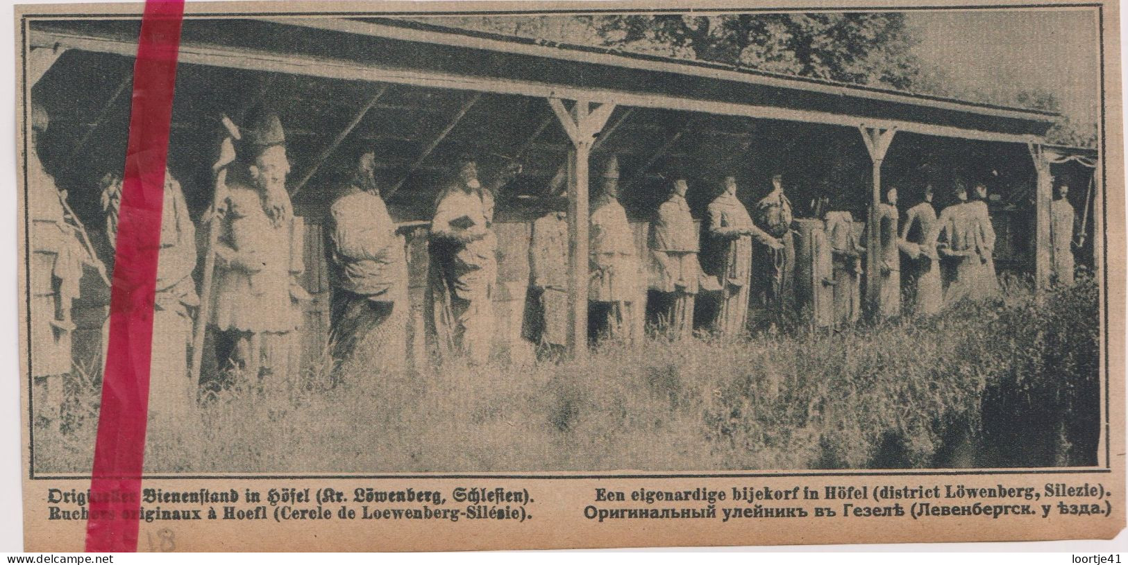 Höfel Hoefl - Bijenkorven, Ruchers Originaux - Orig. Knipsel Coupure Tijdschrift Magazine - 1918 - Non Classificati