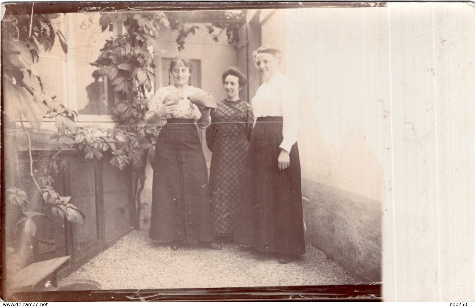 Carte Photo De Trois Femmes élégante Avec Leurs Deux Tortue Posant Dans La Cour De Leurs Maison Vers 1910 - Persone Anonimi