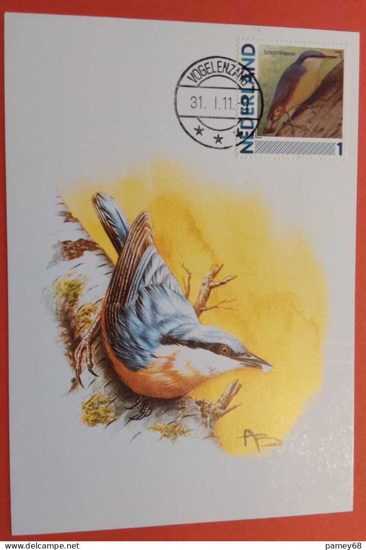 Carte Maximum Oiseaux De Buzin Sitelle Torchepot Avec Affranchissement Timbre Oiseaux Des Pays-Bas 30.01.2011 - 1985-.. Vogels (Buzin)