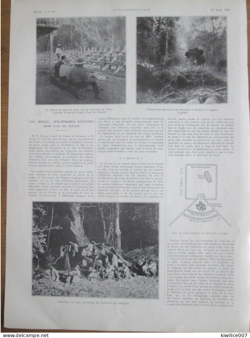 1924   Elevage D Eléphants CEYLAN  Un  KRAAL  Piège à Elephant Chasse Rabatteurs - Unclassified