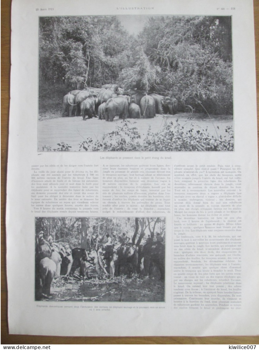 1924   Elevage D Eléphants CEYLAN  Un  KRAAL  Piège à Elephant Chasse Rabatteurs - Unclassified