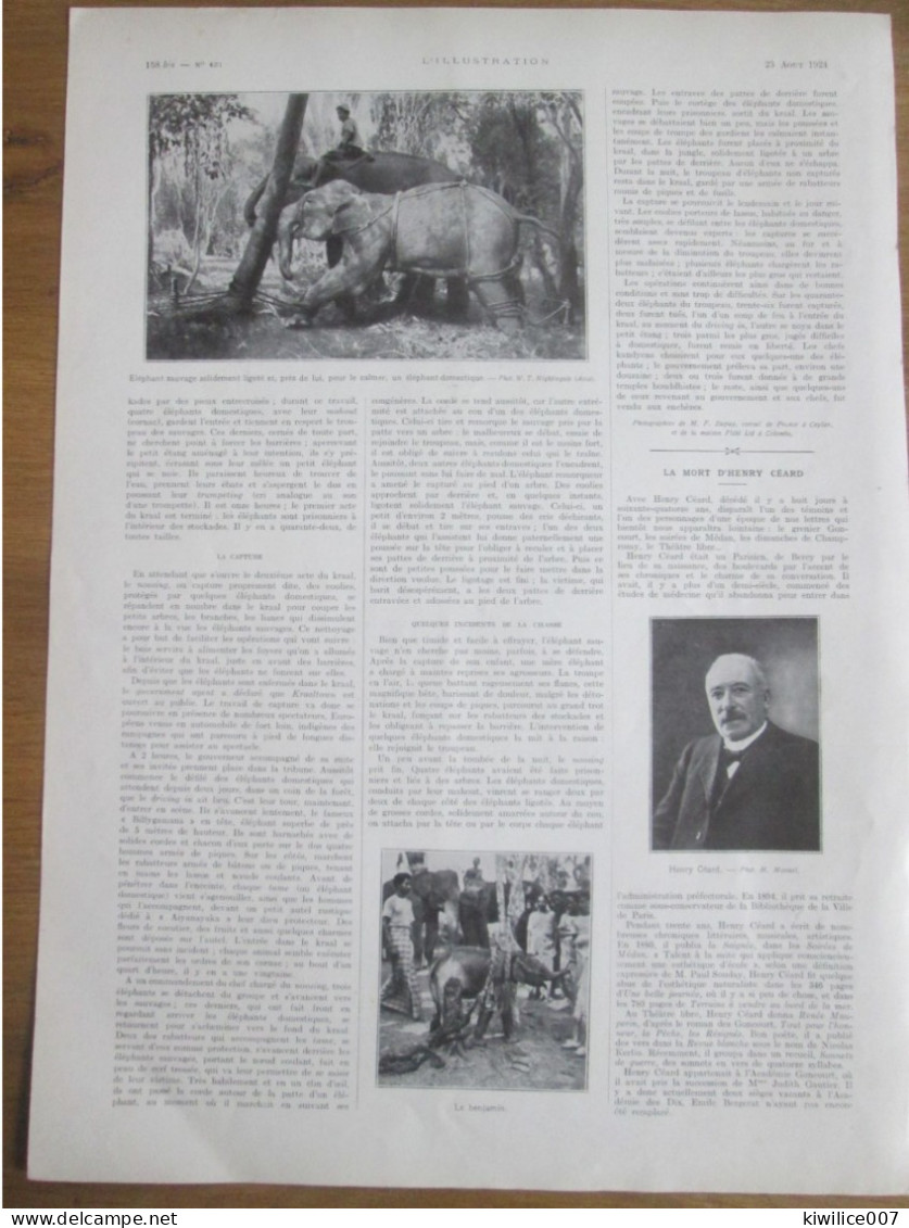 1924   Elevage D Eléphants CEYLAN  Un  KRAAL  Piège à Elephant Chasse Rabatteurs - Unclassified