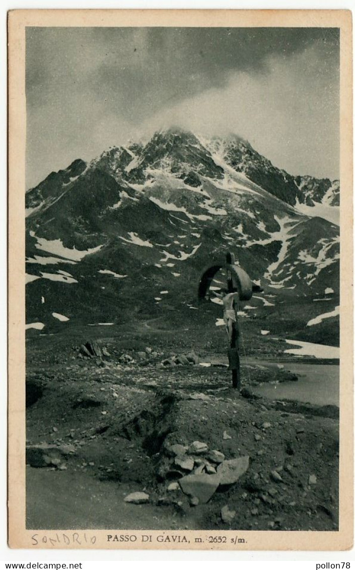 PASSO DI GAVIA - SONDRIO - 1936 - Vedi Retro - Formato Piccolo - Sondrio