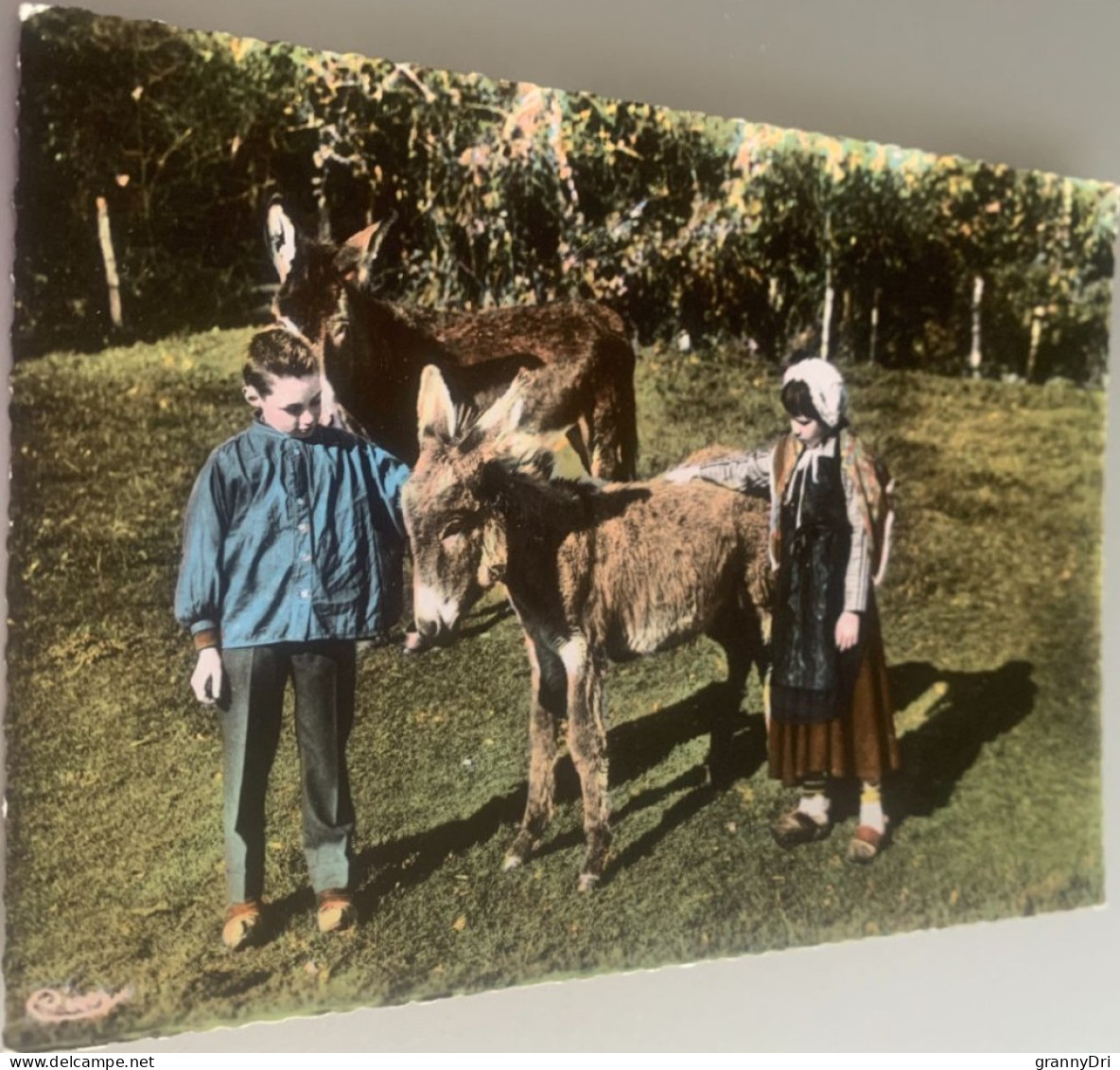 Folklore Du Morvan Enfants En Costume Avec 2 Baudets -ed Combier 1 - Bekende Personen