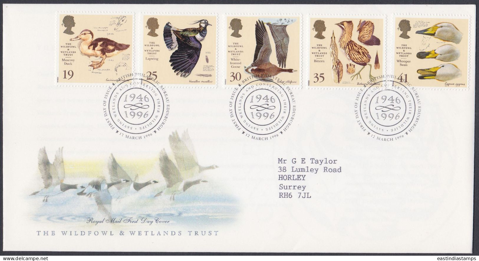 GB Great Britain 1996 FDC Wildfowl, Wetlands, Fowl, Bird, Birds, Swan, Duck, Goose, Pictorial Postmark, First Day Cover - Lettres & Documents