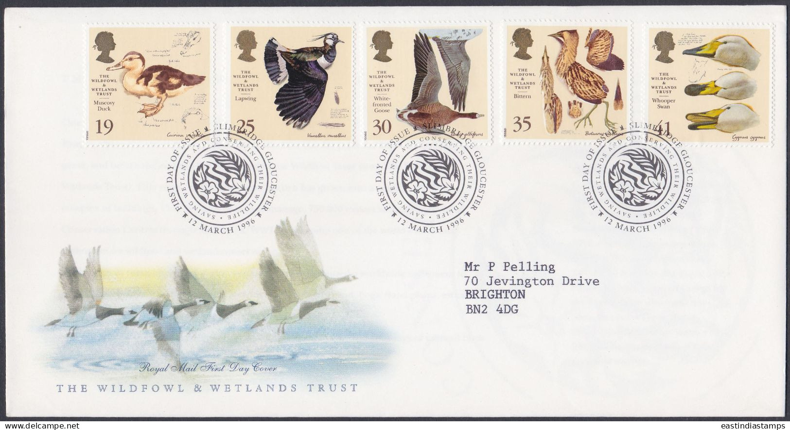 GB Great Britain 1996 FDC Wildfowl, Wetlands, Fowl, Bird, Birds, Swan, Duck, Goose, Pictorial Postmark, First Day Cover - Storia Postale