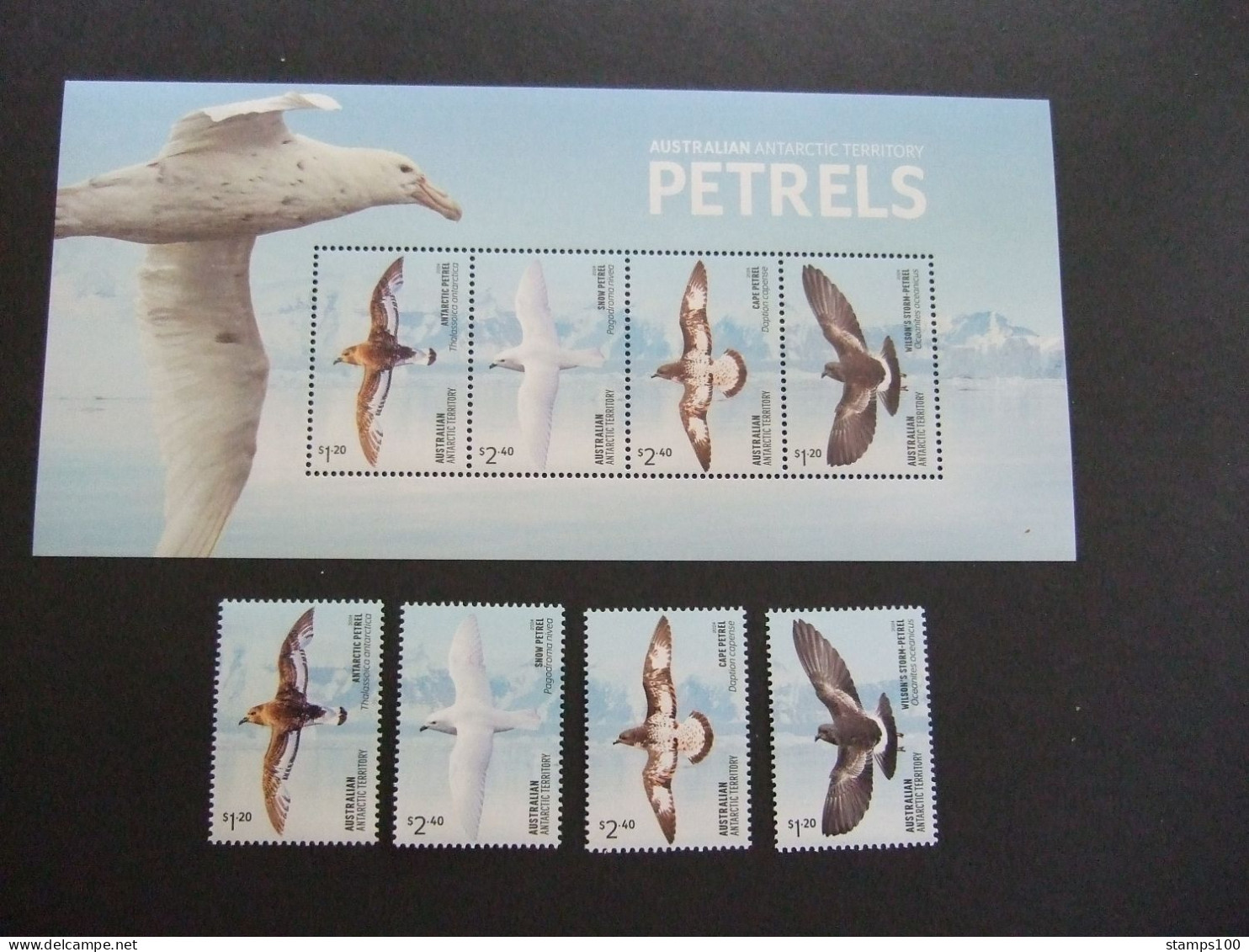 AAT. 2024. PETRELS.   BLOCK + STAMPS  MNH** (Q7-1550) - Nuevos