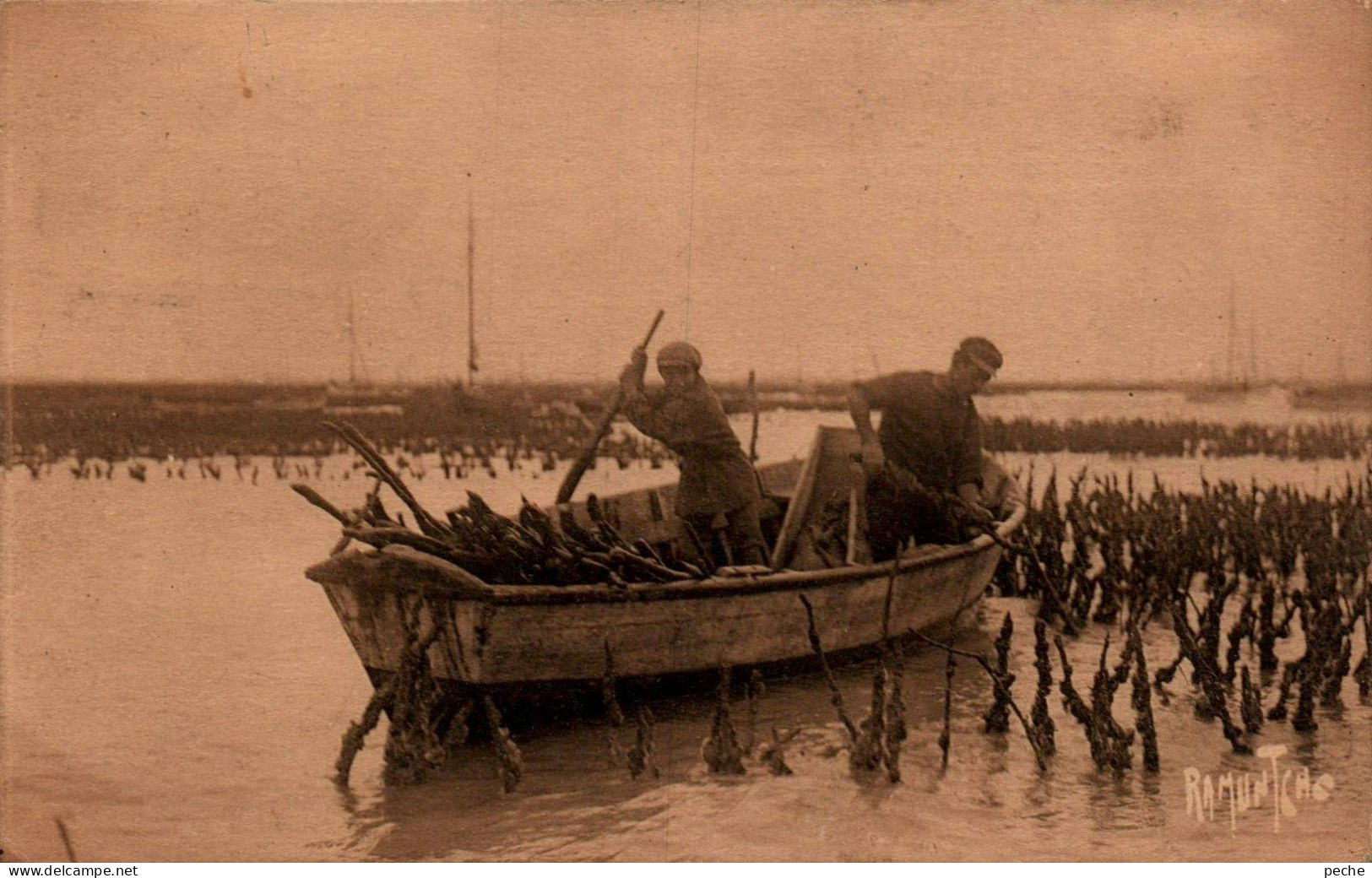 N°1064 W -cpa L'ostréiculture -le Piquetage- - Pesca