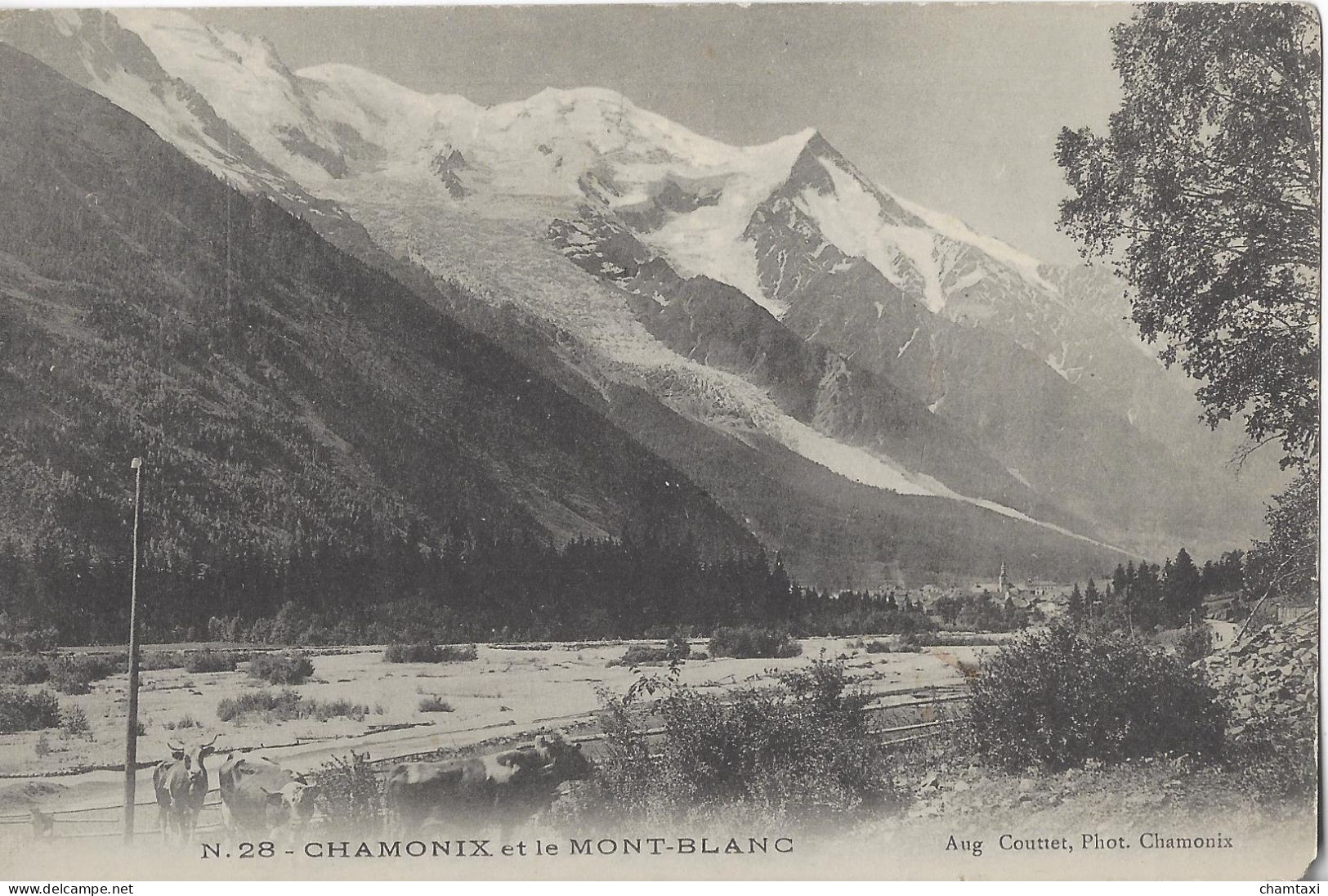 74 CHAMONIX MONT BLANC L ARVE GLACIER DES BOSSONS Editeur: COUTTET Auguste N° 28 - Chamonix-Mont-Blanc