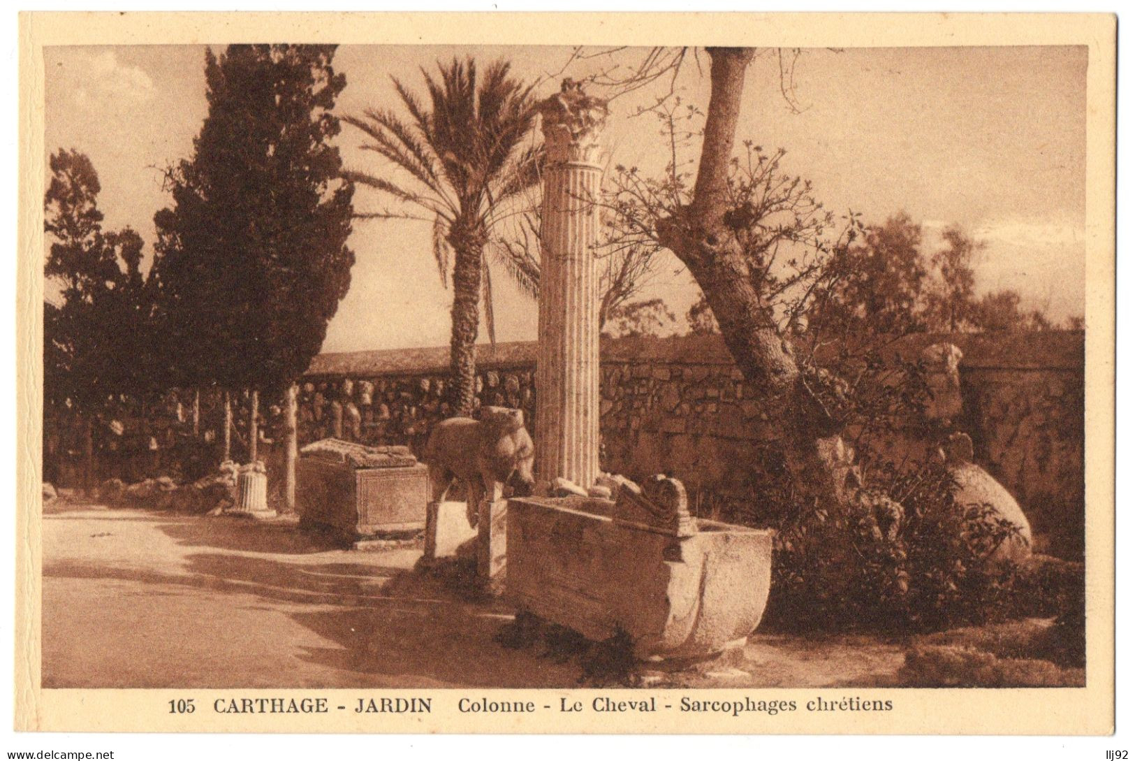 CPA TUNISIE - CARTHAGE - 105. Jardin. Colonne. Le Cheval. Sarcophages Chrétiens - Túnez