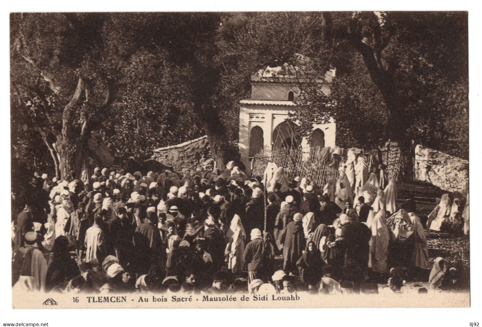 CPA ALGERIE - TLEMCEN - 16. Au Bois Sacré. Mausolée De Sidi Louahb (animée) - Tlemcen