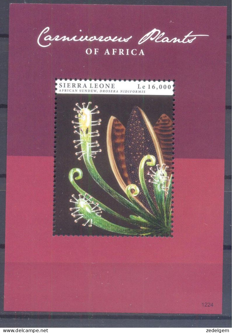 SIERRA LEONE     ( PLA044) XC - Andere & Zonder Classificatie