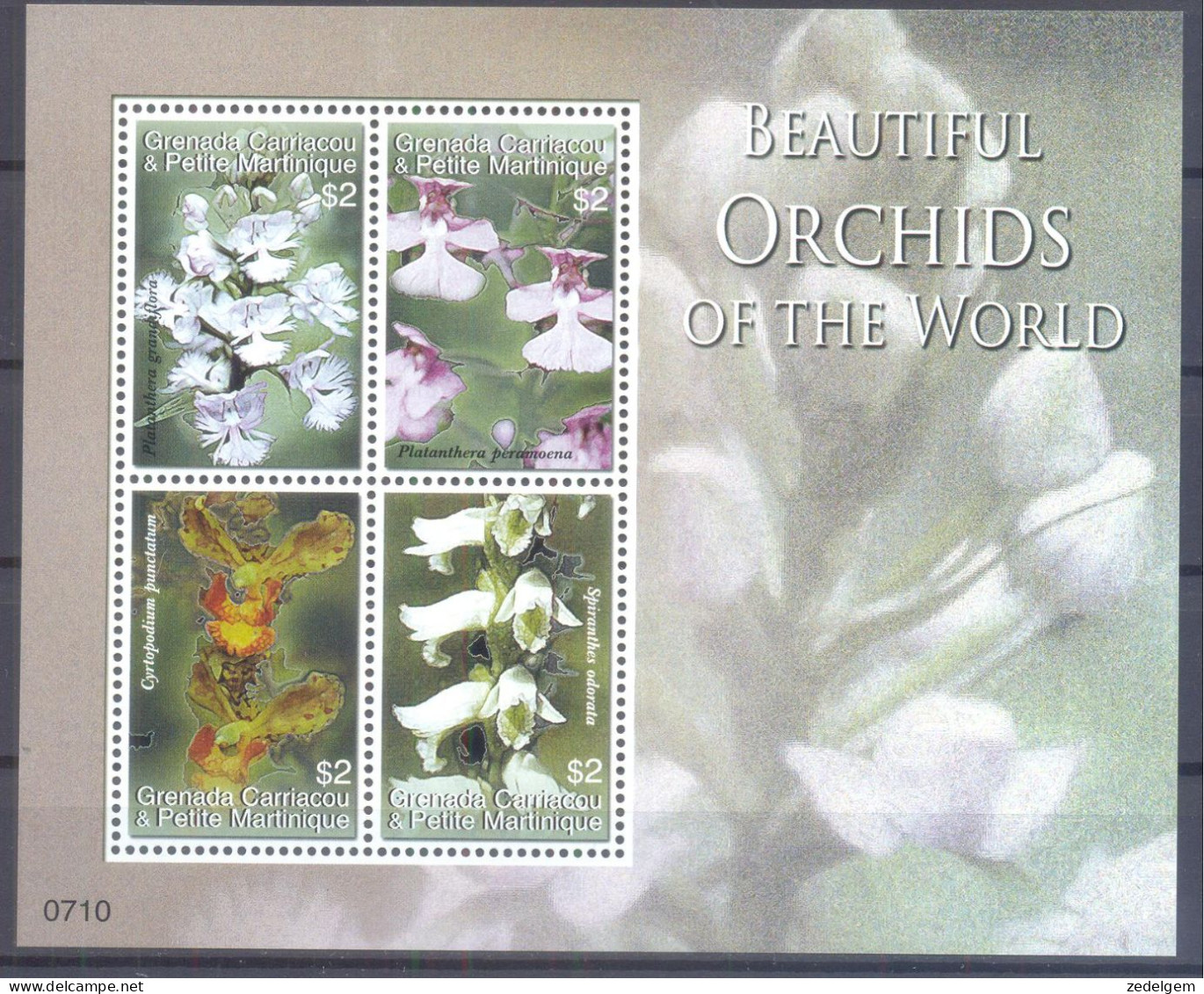 GRENADA CARRIACOU     ( ORC089) XC - Orchids