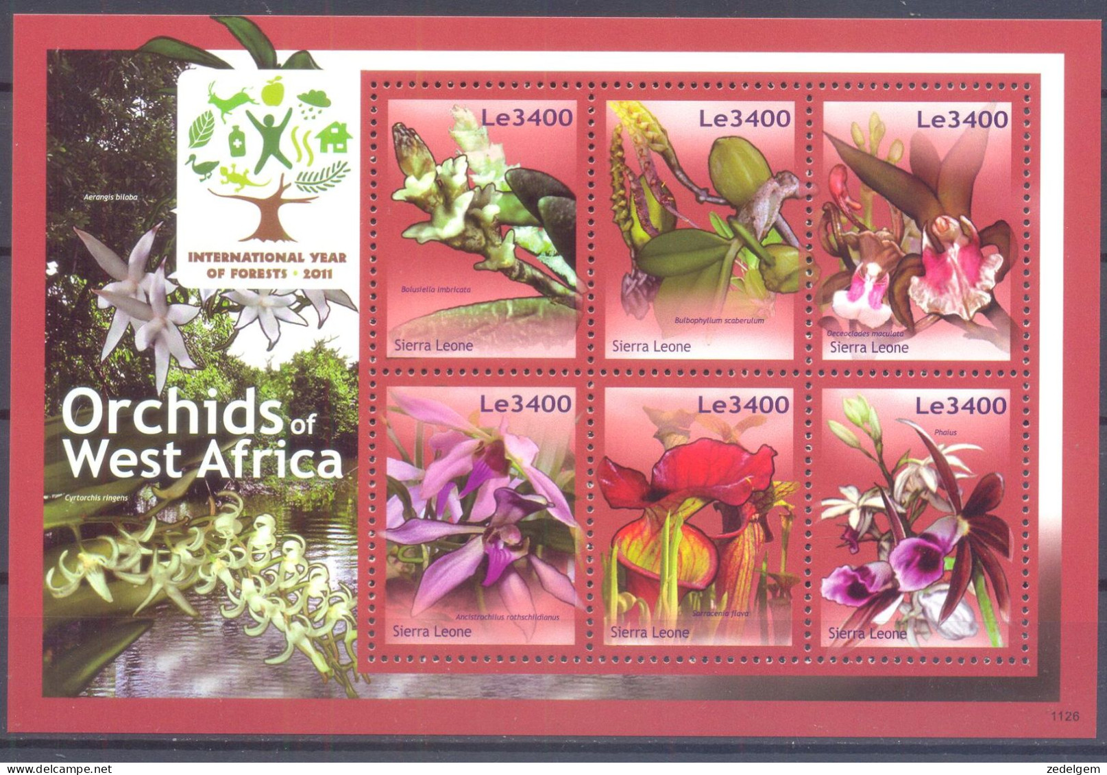 SIERRA LEONE    ( ORC088) XC - Orchidee