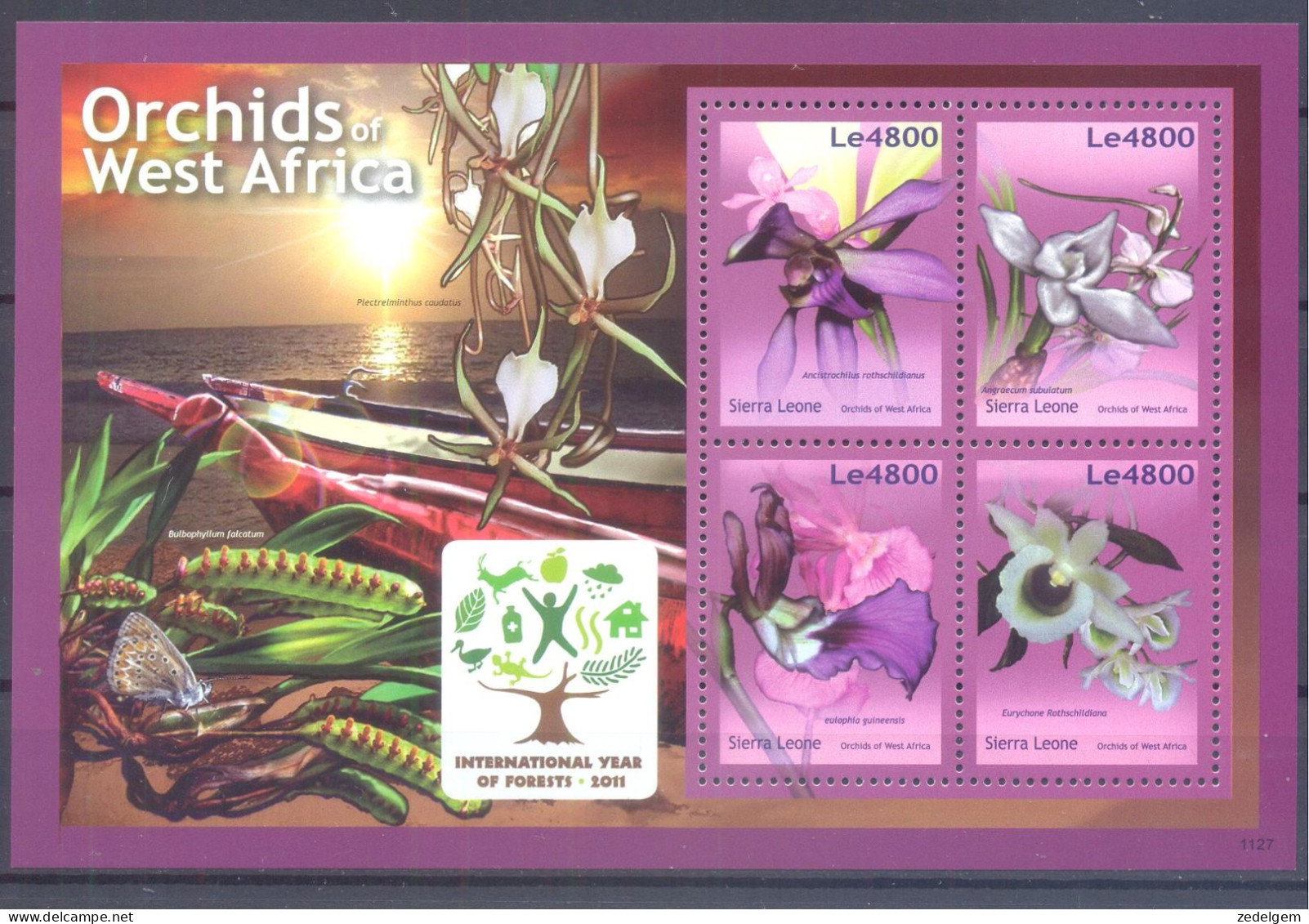 SIERRA LEONE    ( ORC088) XC - Orchidées