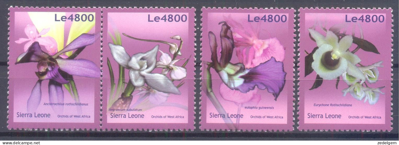 SIERRA LEONE    ( ORC050) XC - Orchideeën