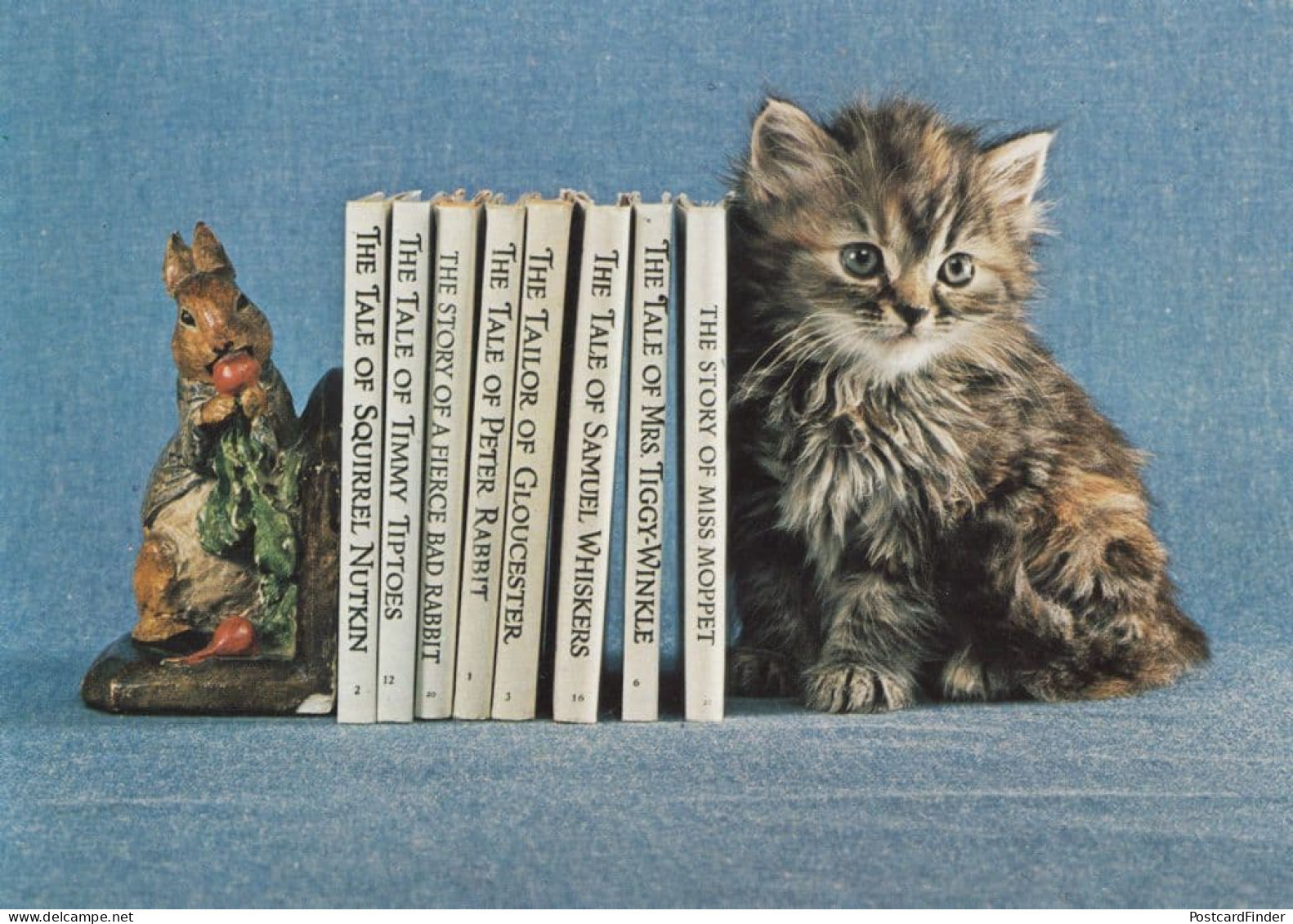 Kittens Cats Guarding Beatrix Potter Book Collection Postcard - Chats