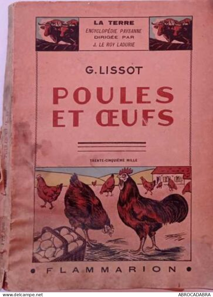 Poules Et Oeufs - Tiere