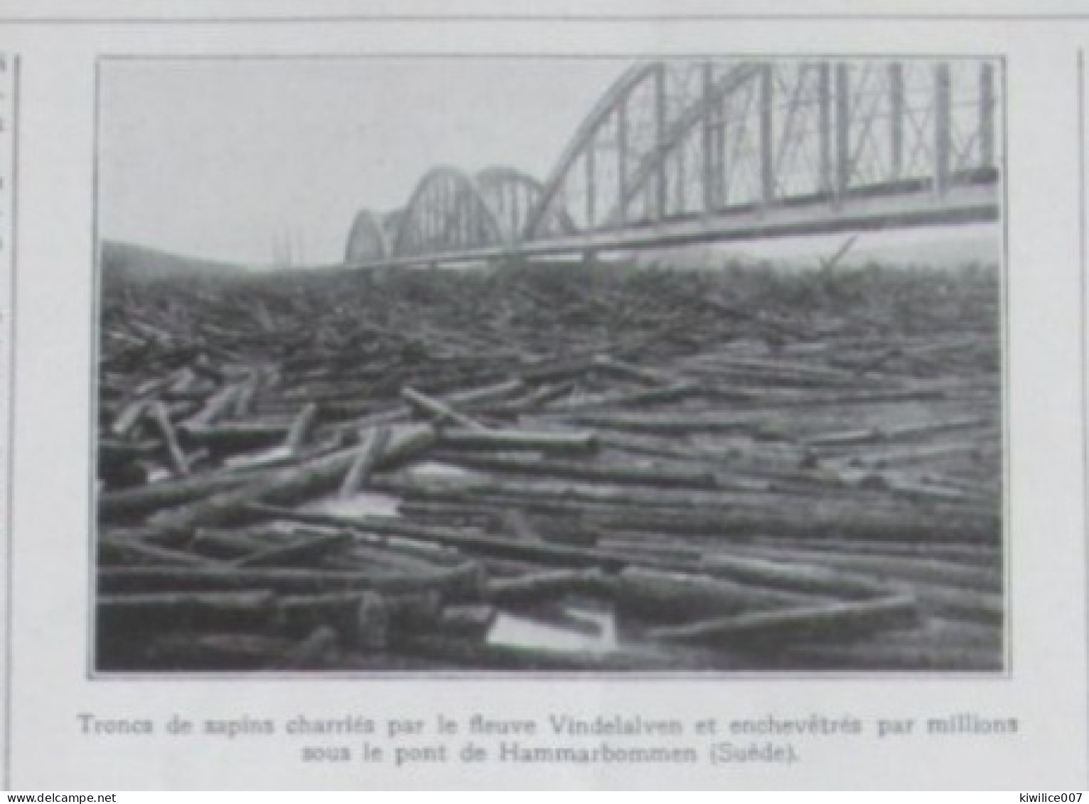 1924  Suede Sweden   Hammarbommen  Pont  Bridge  TRONCS DE SAPINS BOIS BUCHERONNAGE - Non Classés