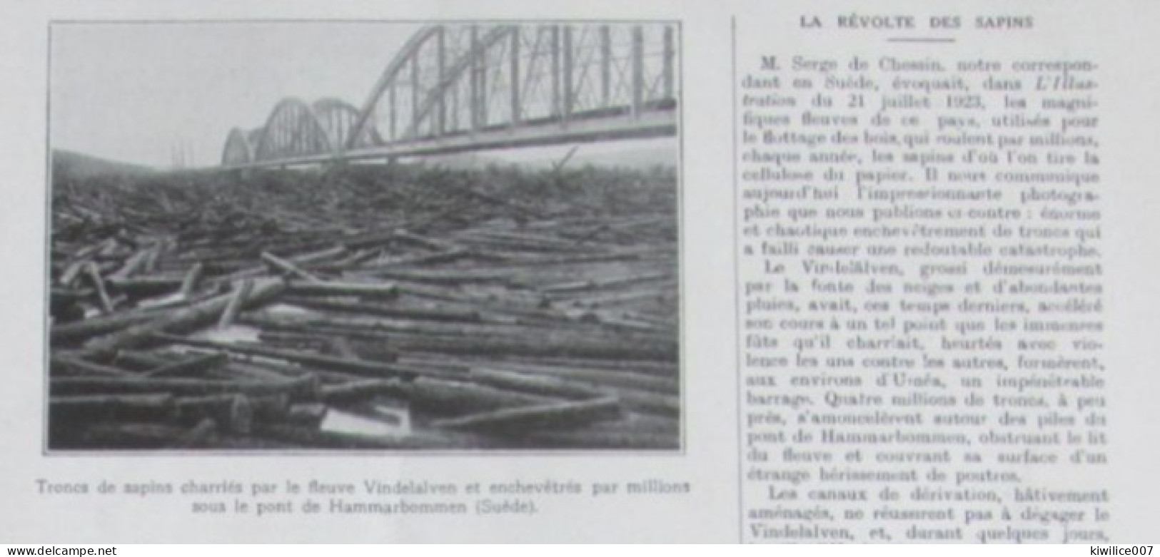 1924  Suede Sweden   Hammarbommen  Pont  Bridge  TRONCS DE SAPINS BOIS BUCHERONNAGE - Non Classés