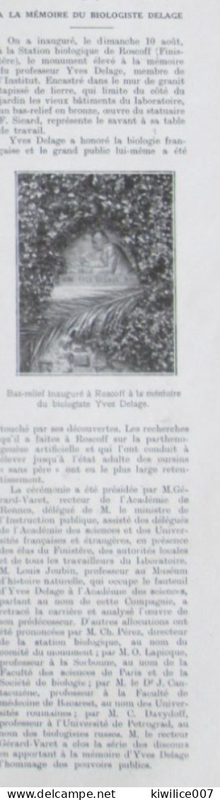 1924  ROSCOFF Bas Relief  YVES DELAGE - Non Classés