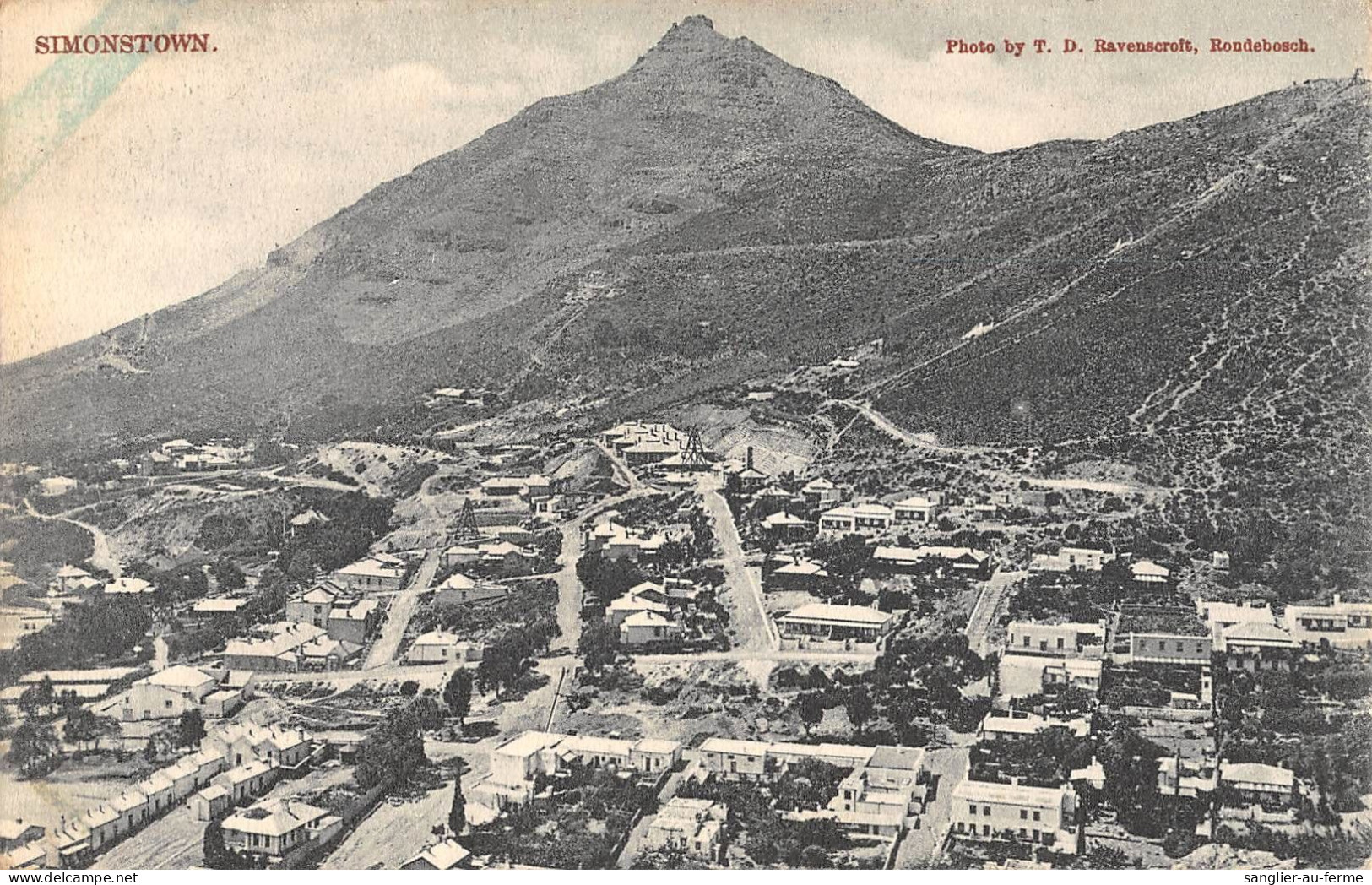 CPA / AFRIQUE DU SUD / SIMONSTOWN - Afrique Du Sud