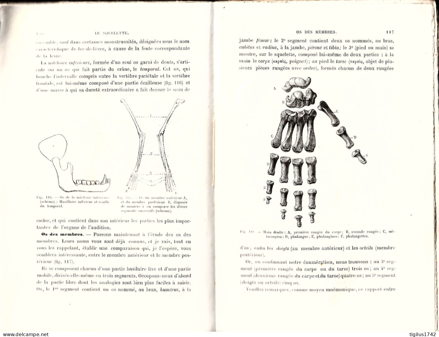 Paul Bert. Leçons D’anatomie Et De Physiologie Animales, Masson, Paris, 1886 - 1801-1900