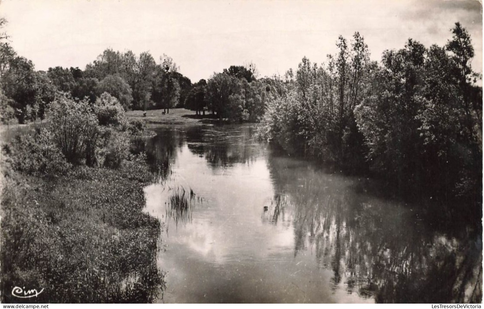 FRANCE - Anglure (Marne) - Vue Sur Les Bords De L'Aube - Vue Générale - Carte Postale Ancienne - Anglure