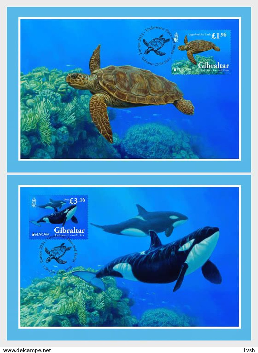 Gibraltar.2024.Europa CEPT.Underwater Fauna And Flora.  2 Maxi Cards . - Marine Life