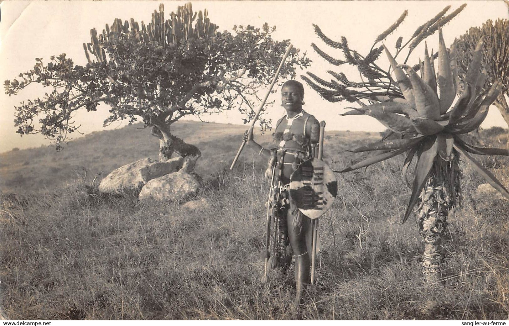 CPA / AFRIQUE DU SUD / CPA ETHNIQUE / CARTE PHOTO / AFRICAIN EN TENUE DE GUERRE - Südafrika