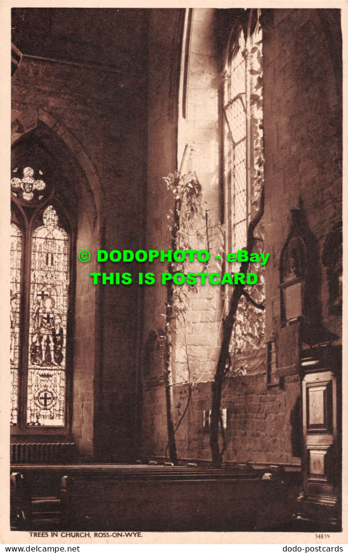 R517324 Ross On Wye. Trees In Church. Postcard - Monde