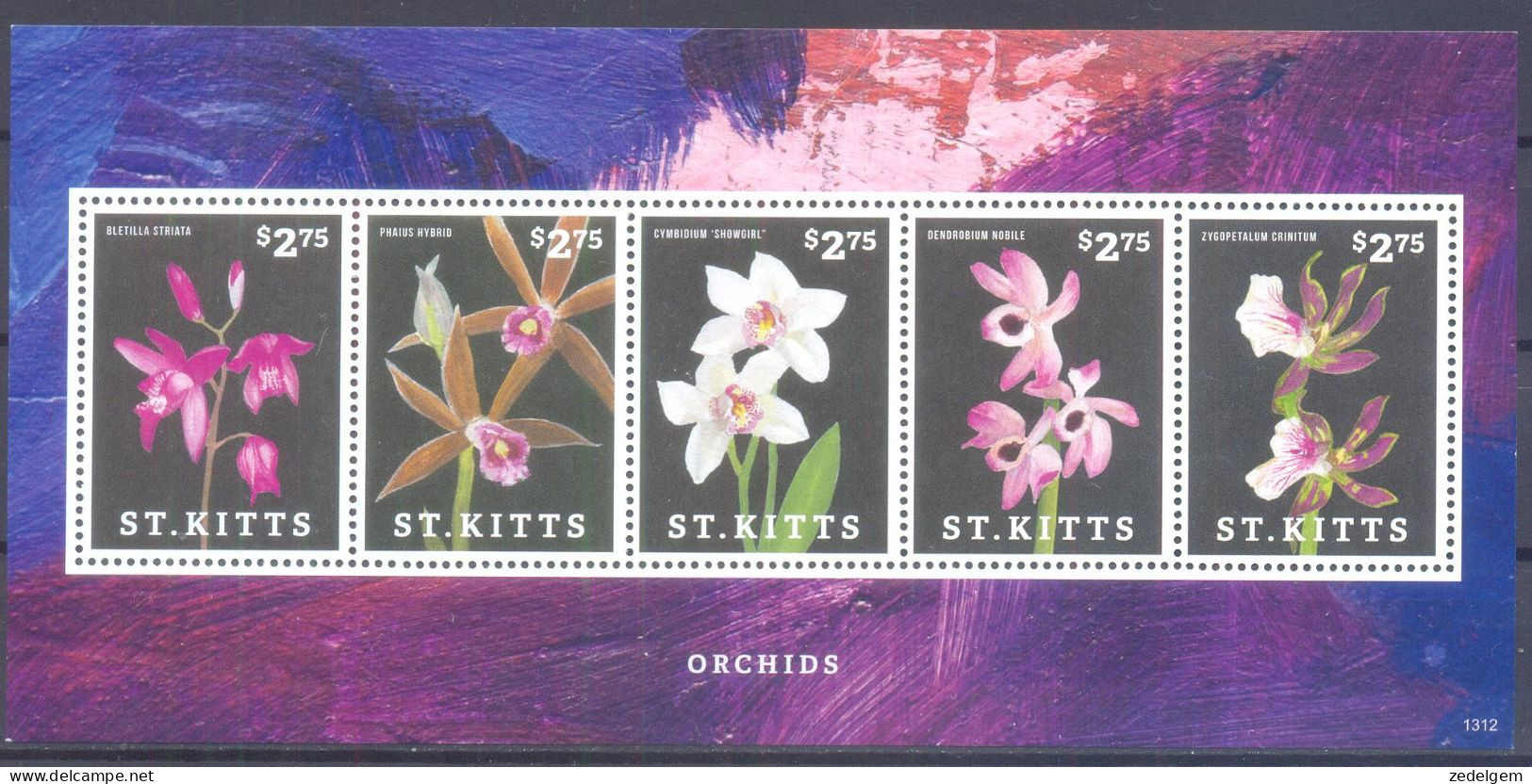 SINT KITTS  (ORC017) XC - Orchideeën