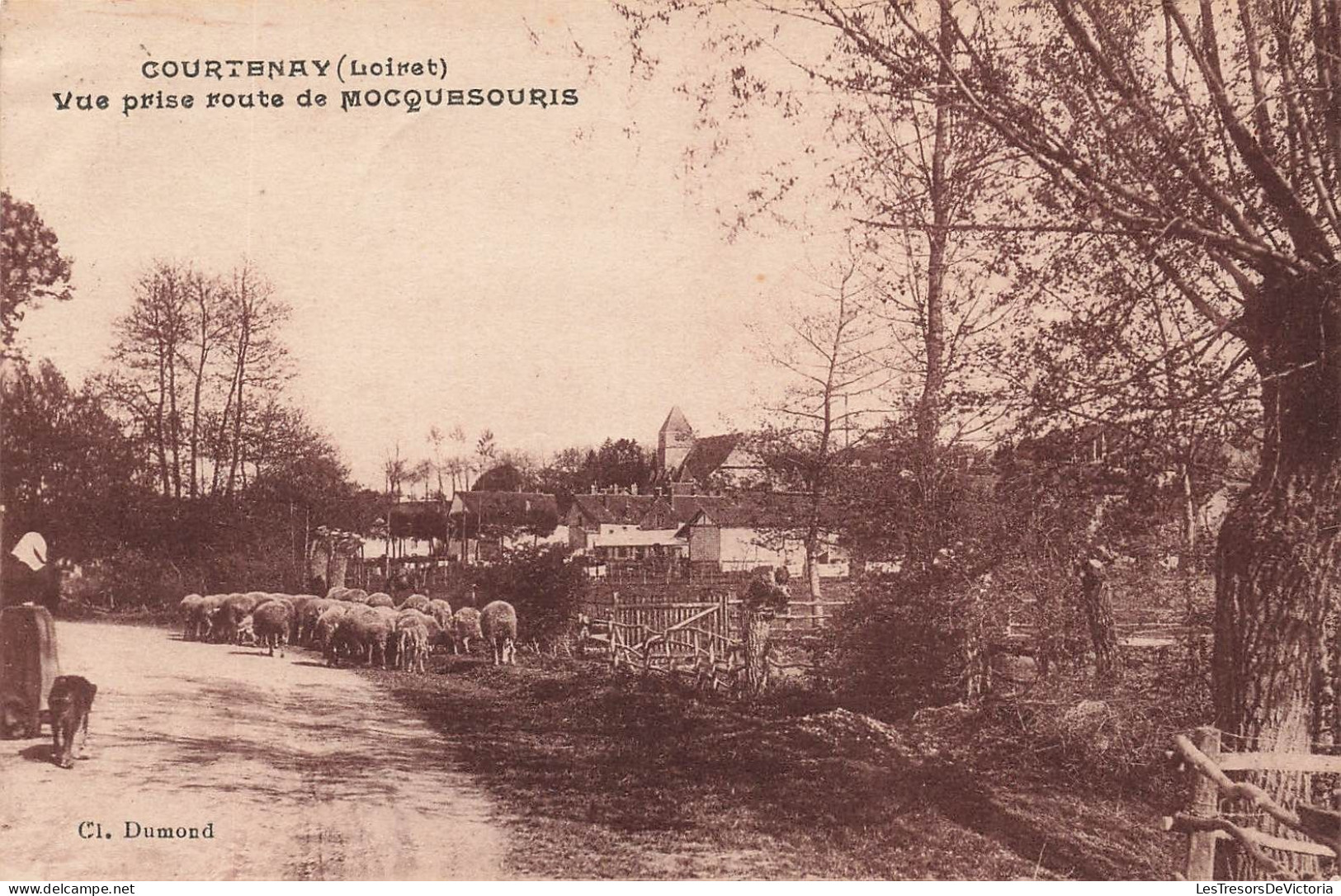 FRANCE - Courtenay - Vue Prise Route De Mocquesouris - Animé  - Carte Postale Ancienne - Courtenay