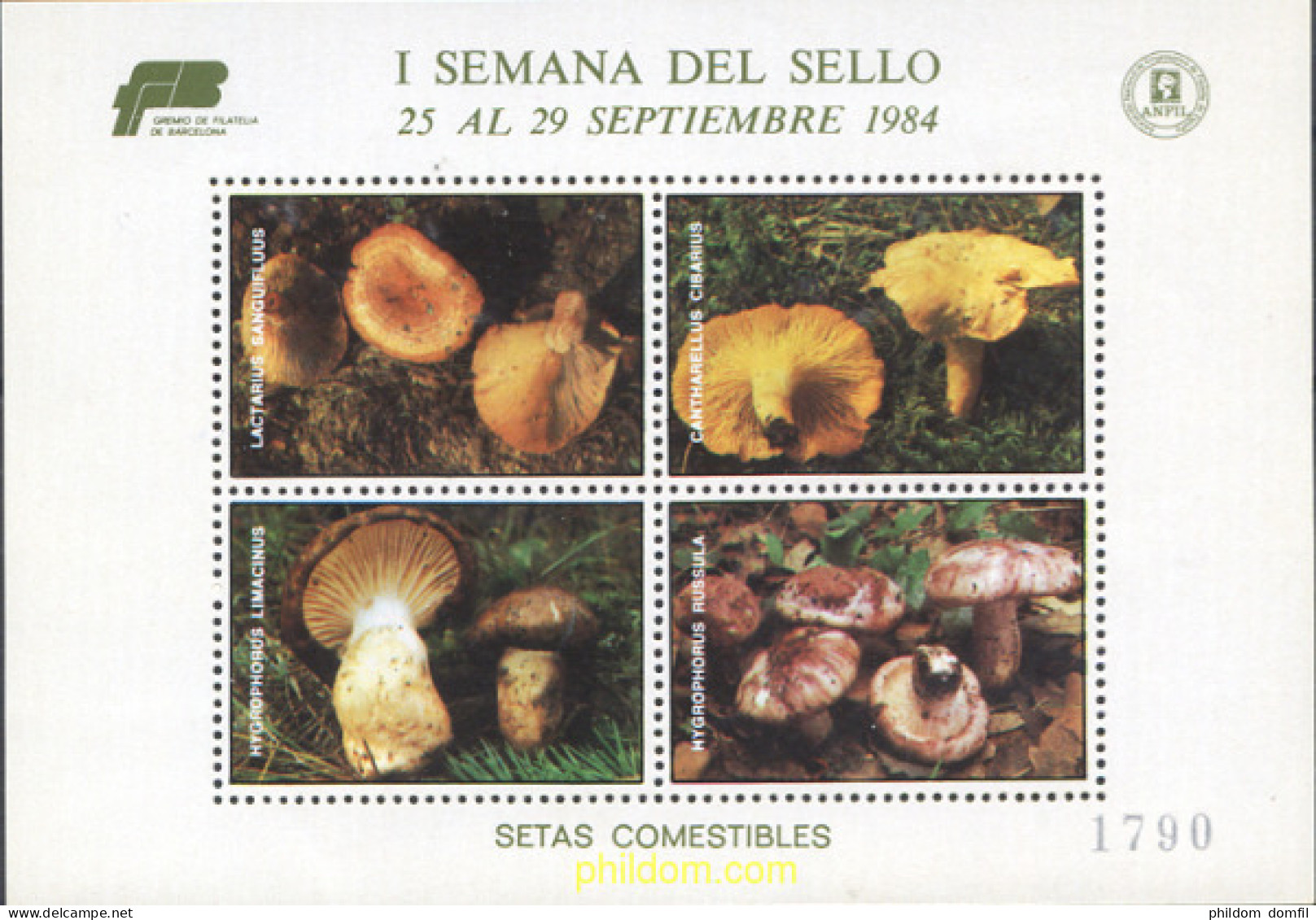 252125 MNH ESPAÑA Viñetas 1984 SETAS - I SEMANA DEL SELLO - Unused Stamps