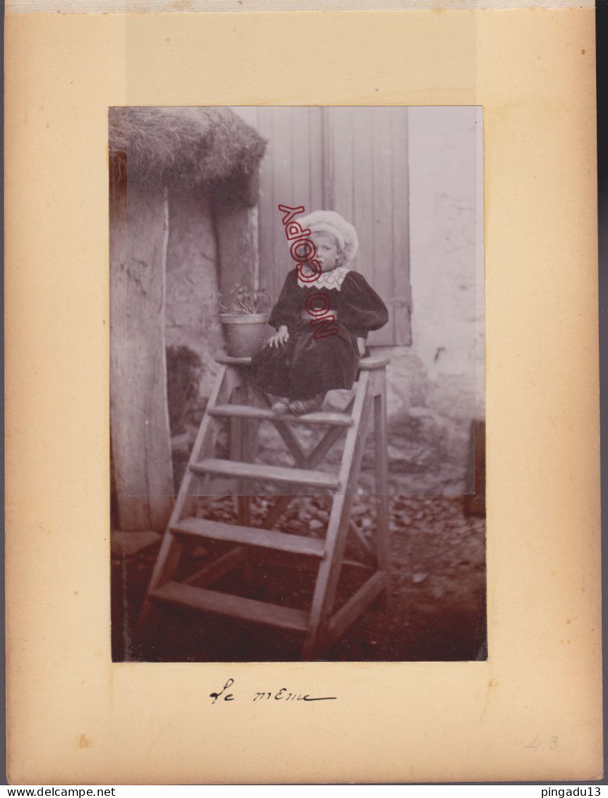 Fixe Albuminé Sur Carton Fin XIX E Siècle Portrait Enfant - Old (before 1900)
