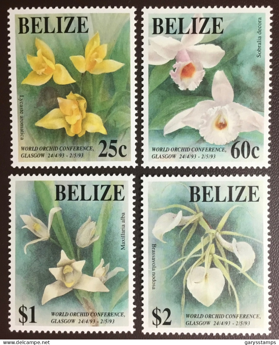 Belize 1993 Orchid Conference Orchids Flowers MNH - Orquideas