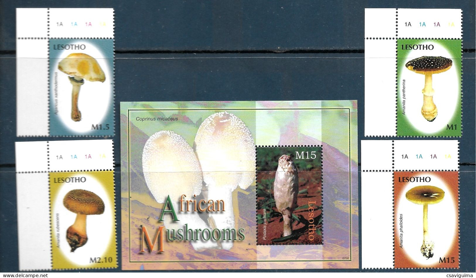 Lesotho - 2007 - Mushrooms - Yv 1876/79 + Bf 206 - Pilze