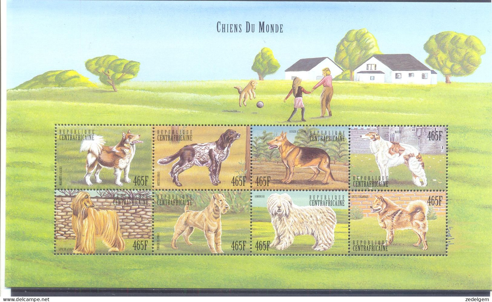 CENTRAAL AFRIKA     (FKH039) XC - Chiens