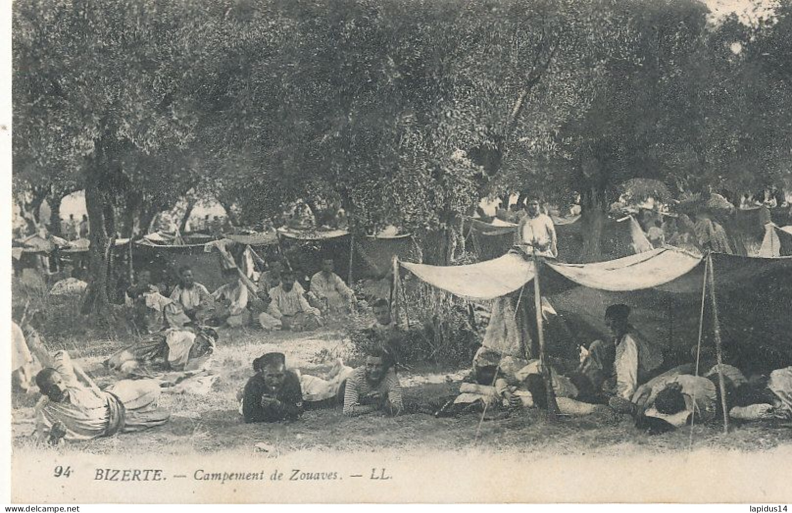 AY 504 /    CPA    TUNISIE-  BIZERTE -CAMPEMENT  DE ZOUAVES - Túnez