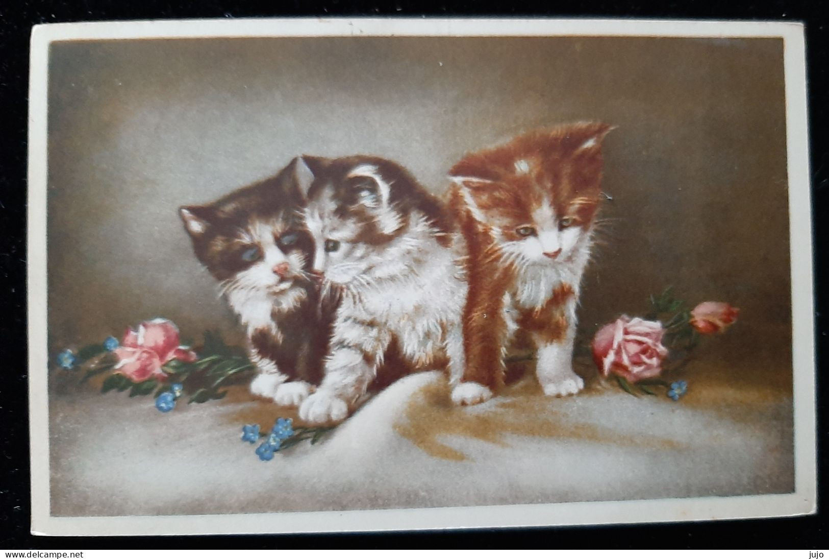 CHATS - Trois  Chatons / Fleurs - Collection CHARME N°819 - Katzen