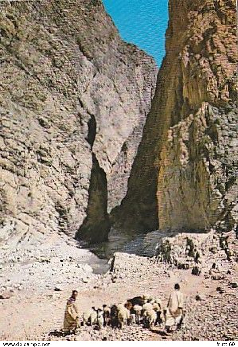 AK 215213 MAROC - Tinghir - Les Gorges Du Todra - Andere & Zonder Classificatie