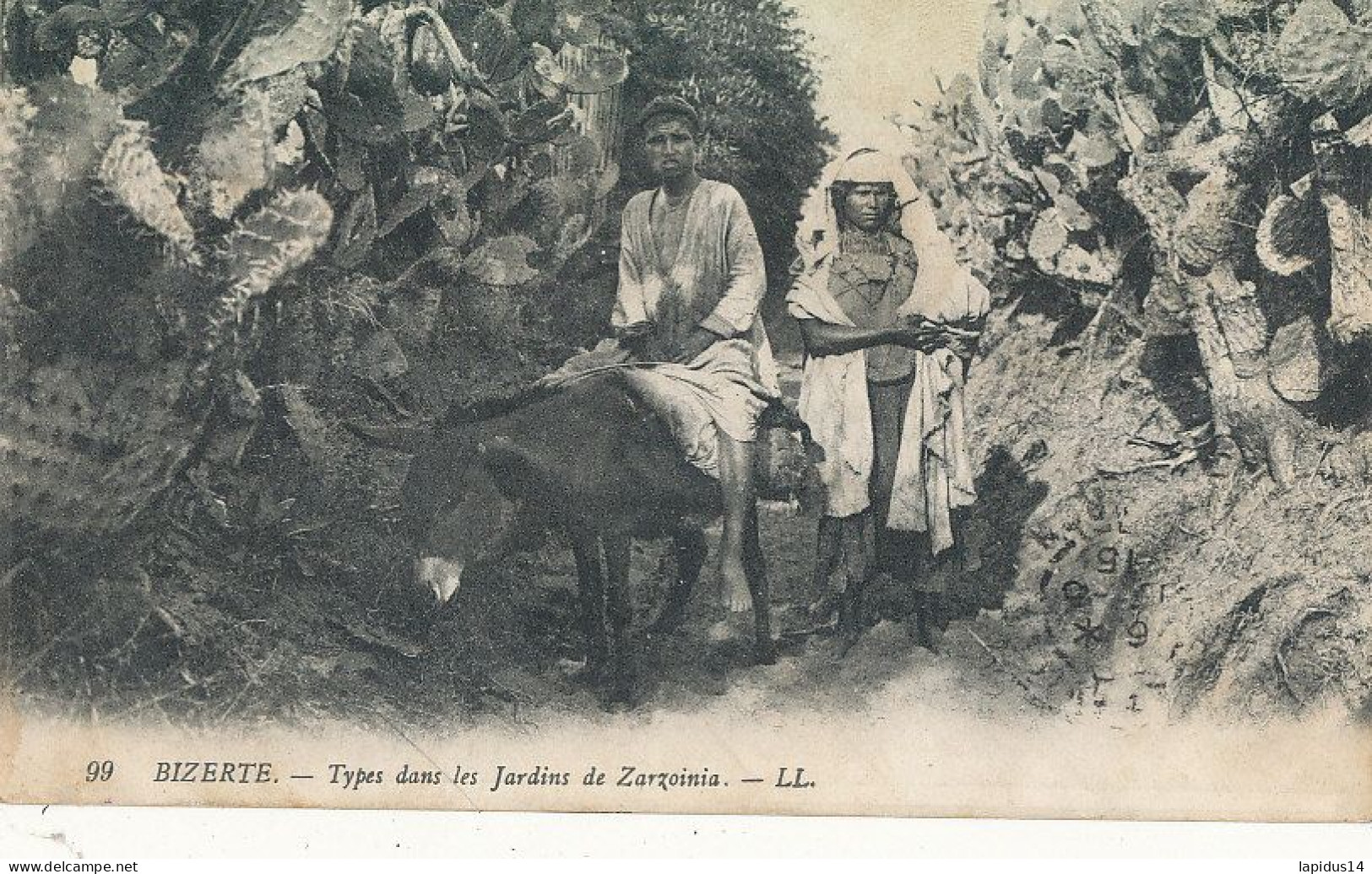 AY 509 /    CPA    TUNISIE-   BIZERTE -TYPES DANS LES JARDINS DE ZARZOINIA - Túnez