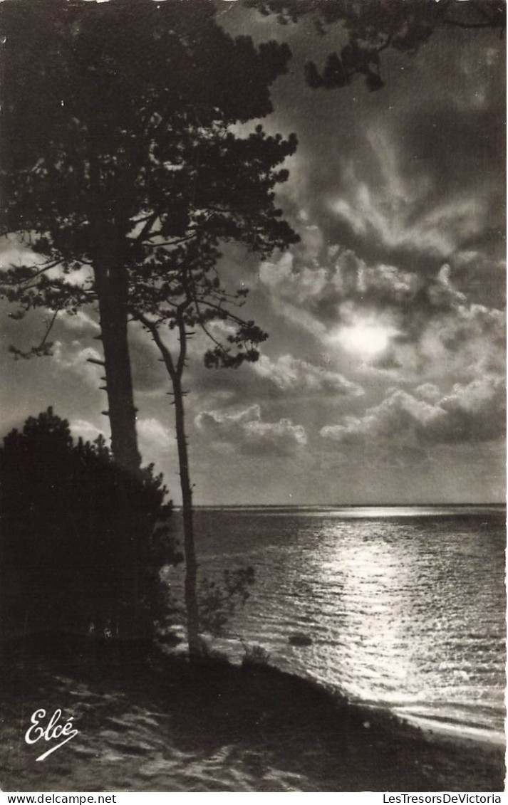 FRANCE - Bassin D'Arcachon - Vue Sur Le Coucher De Soleil Sur Le Bassin - La Mer - Carte Postale Ancienne - Arcachon