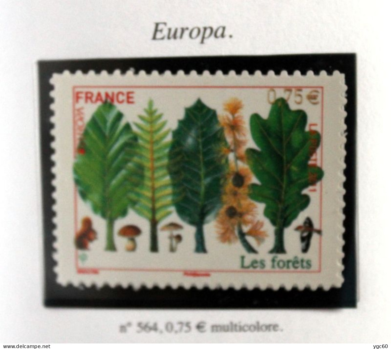 2011 - TIMBRE AUTOADHÉSIF N°564 - LES FORÊTS - TB ETAT NEUF - Unused Stamps