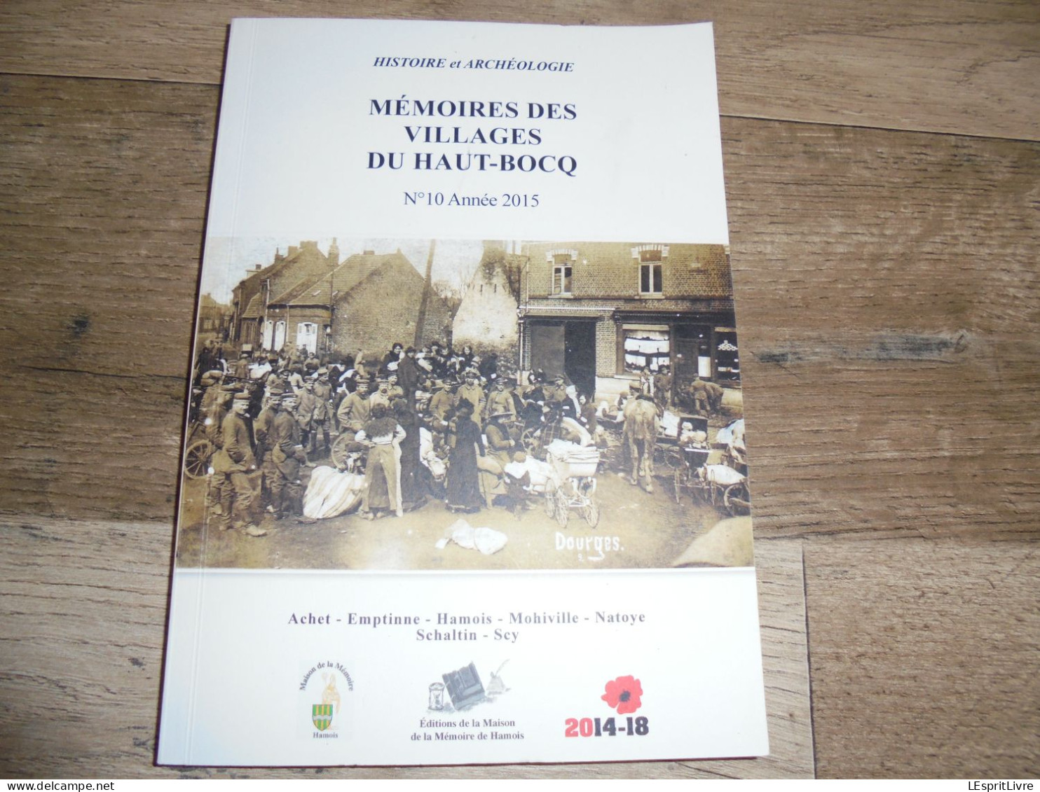 MEMOIRES DES VILLAGES DU HAUT BOCQ N° 10 Régionalisme Emptinne Hamois Guerre 14 18 Seigneurie Scy Schaltin Mohiville - Belgien