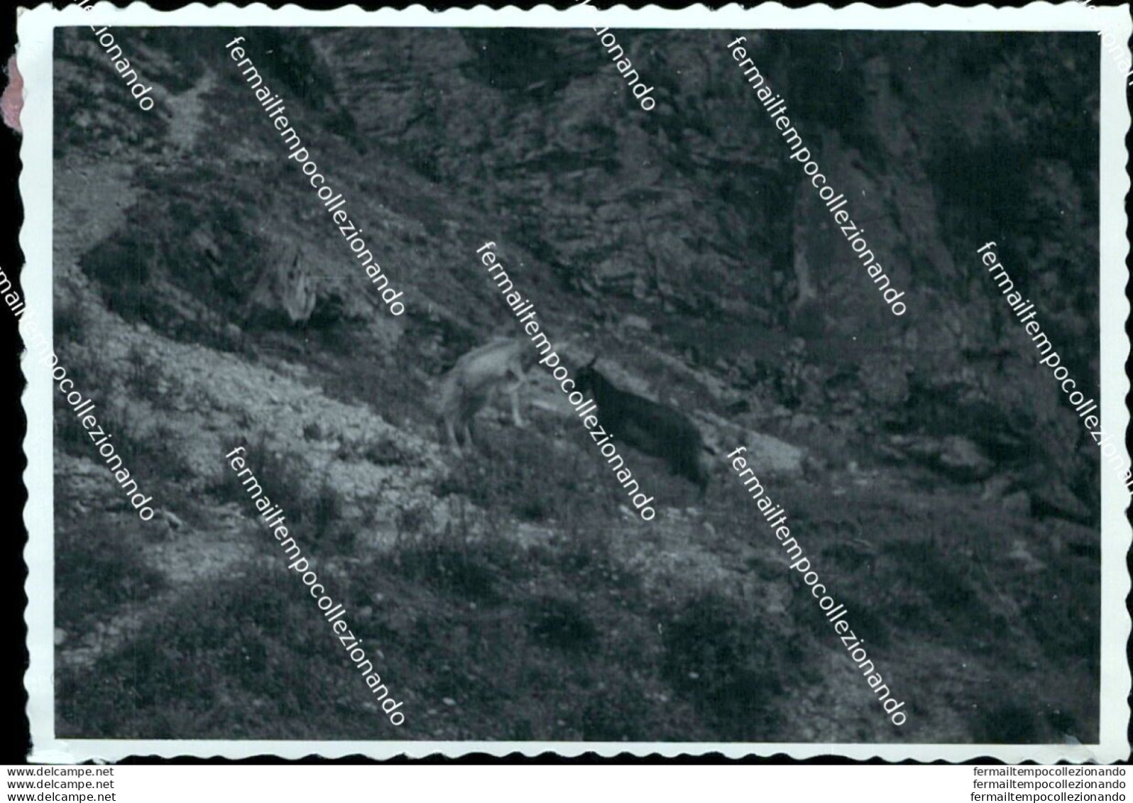 Az674 Foto Privata Equi Terme Frazione Di  Di Fivizzano  1954 Massa Carrara - Massa