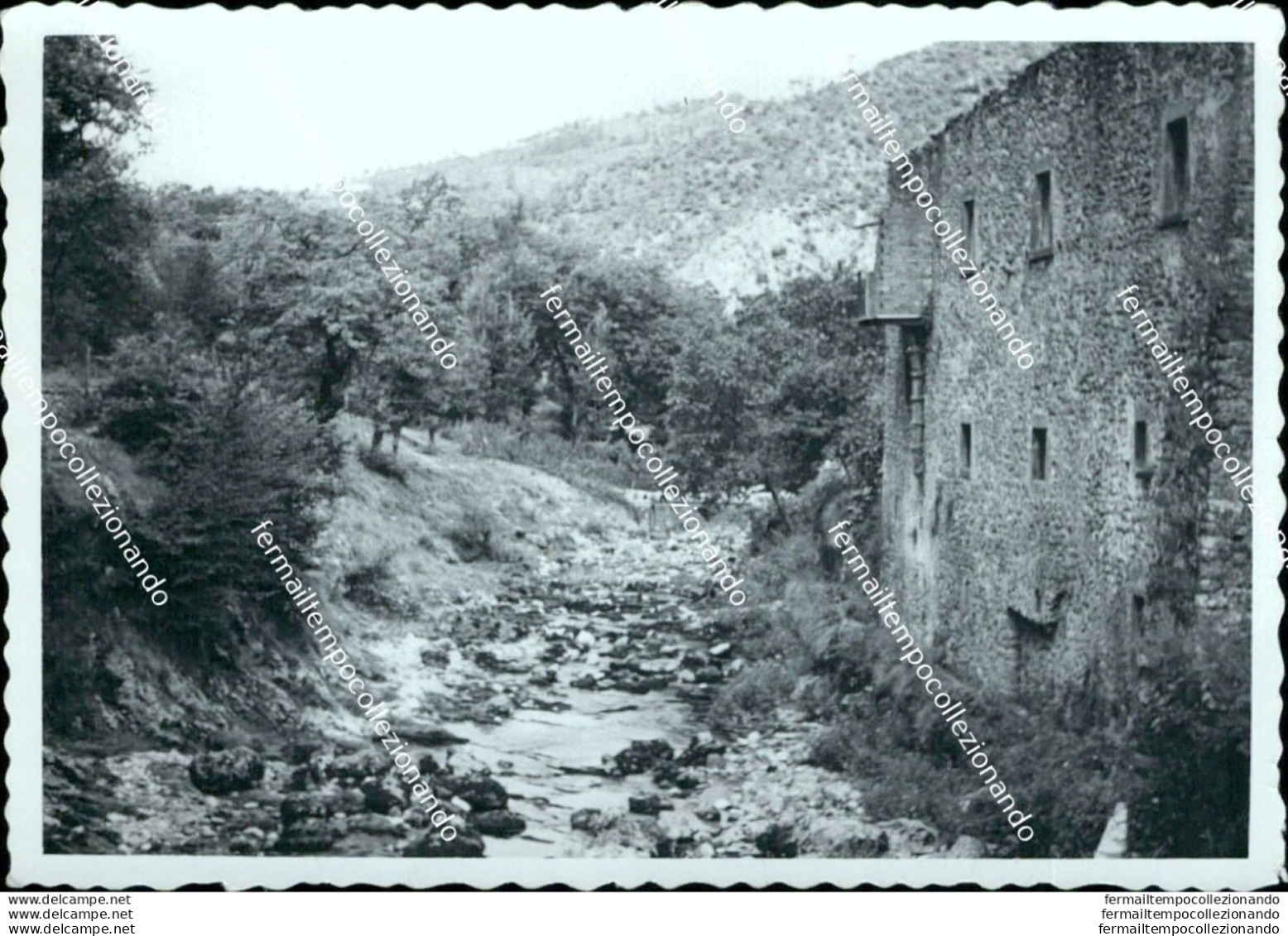 Az679  Foto Privata Equi Terme Frazione Di  Di Fivizzano  1954 Massa Carrara - Massa